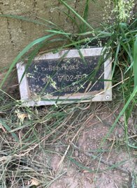 gedenk plaatje Ilse Hoeks 