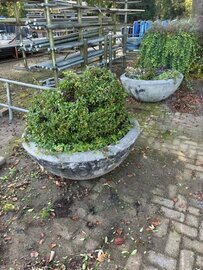 Plantenbak, Velopa gevuld met div. planten, antraciet, hoog 50cm. &oslash; 120cm.