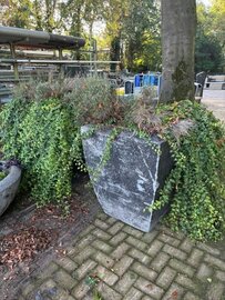 gevulde bak Div. planten 120cm hoog